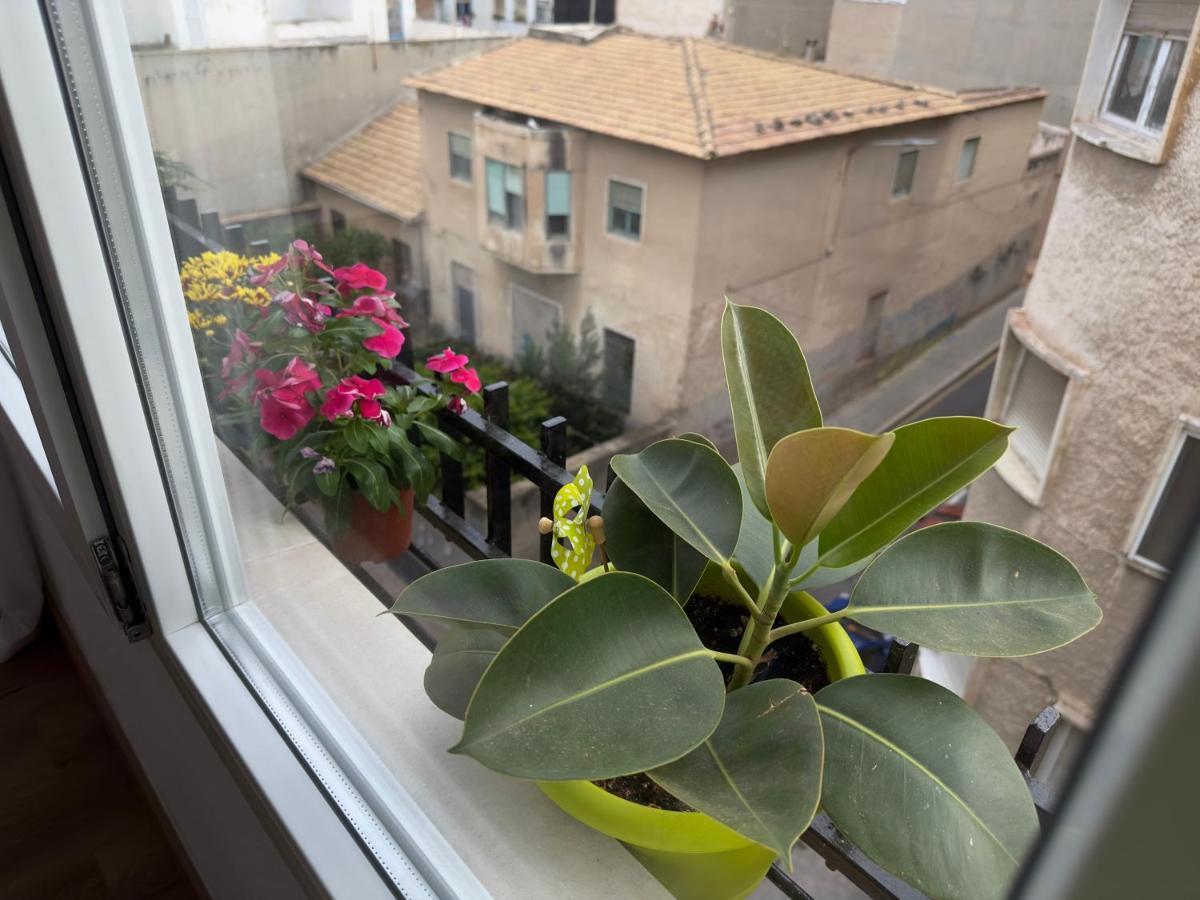 Antonio Apartments لقنت المظهر الخارجي الصورة